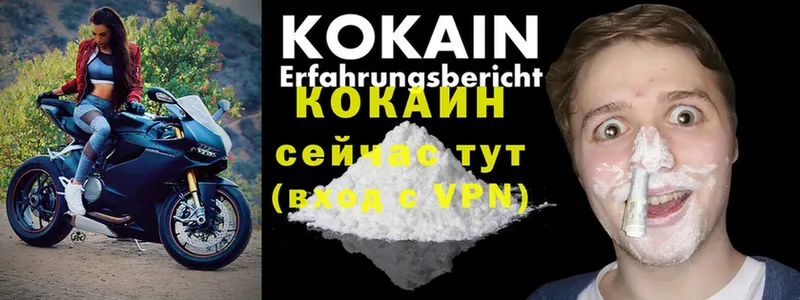 что такое   MEGA вход  Cocaine 98%  Светлоград 