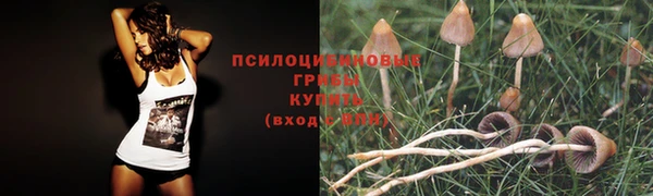 MDMA Переславль-Залесский