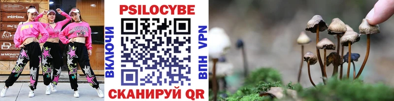 Галлюциногенные грибы MAGIC MUSHROOMS  Светлоград 