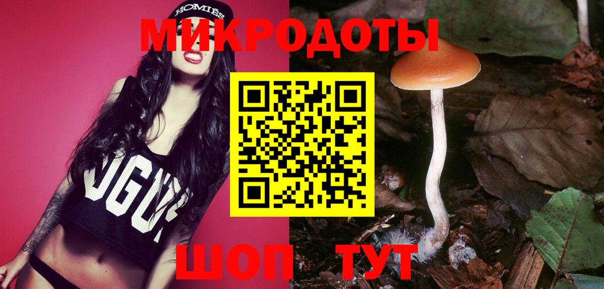 Псилоцибиновые грибы мухоморы Светлоград