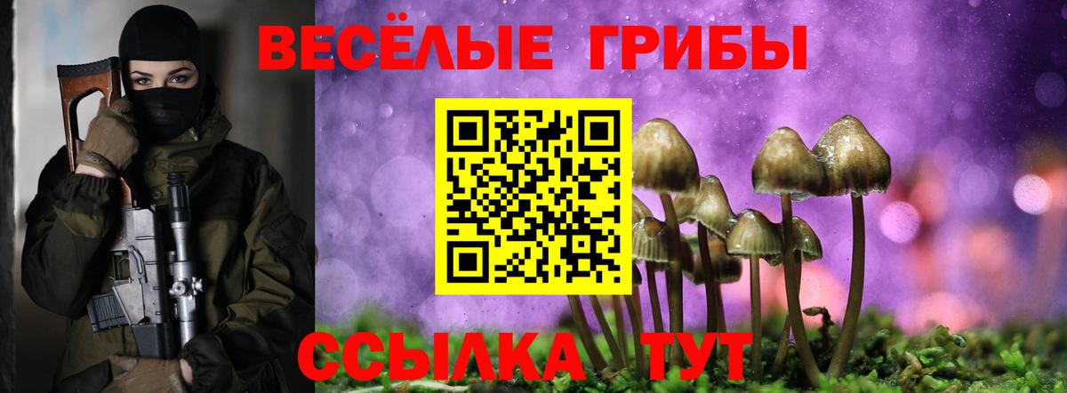 Галлюциногенные грибы MAGIC MUSHROOMS  Псилоцибиновые грибы GOLDEN TEACHER  Светлоград  Вход с VPN 