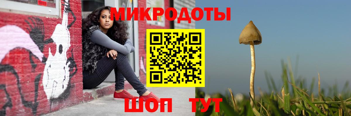 Галлюциногенные грибы мухоморы  Галлюциногенные грибы Psilocybine cubensis  Светлоград 