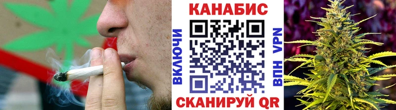 Бошки марихуана конопля  Светлоград 