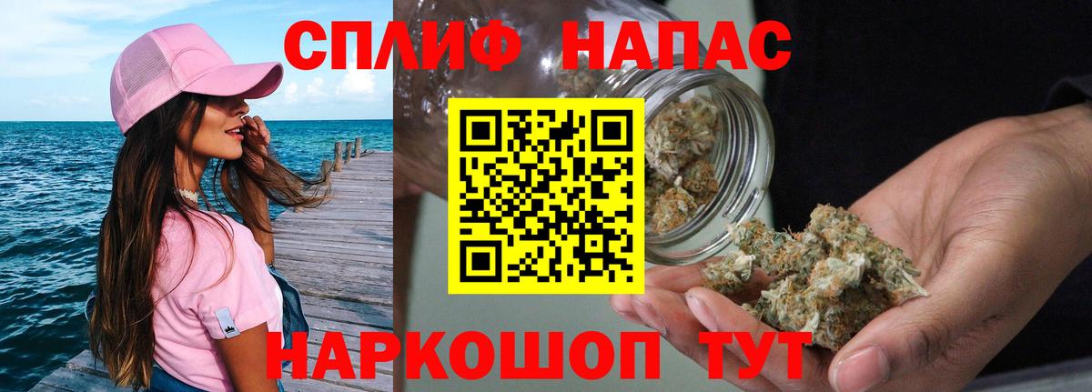 Бошки марихуана ГИДРОПОН  МАРИХУАНА план  Каннабис сатива  Светлоград  Канабис OG Kush 