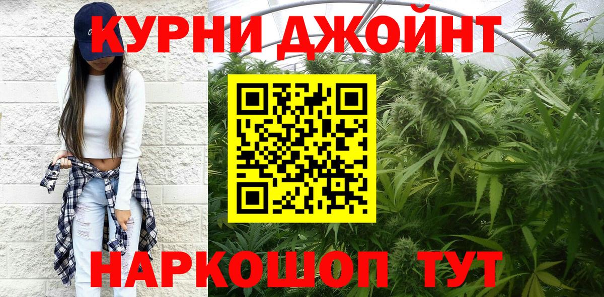 Галлюциногенные грибы Светлоград